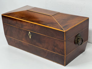 Beautiful sarcophagus vintage top quality wood tea caddy  box all original