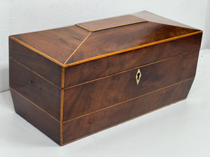 Beautiful sarcophagus vintage top quality wood tea caddy  box all original